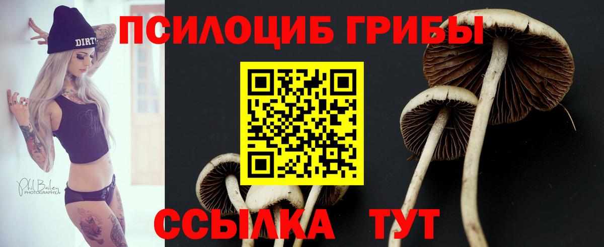 Псилоцибиновые грибы ЛСД  Вход с VPN  Галлюциногенные грибы Magic Shrooms  Златоуст 